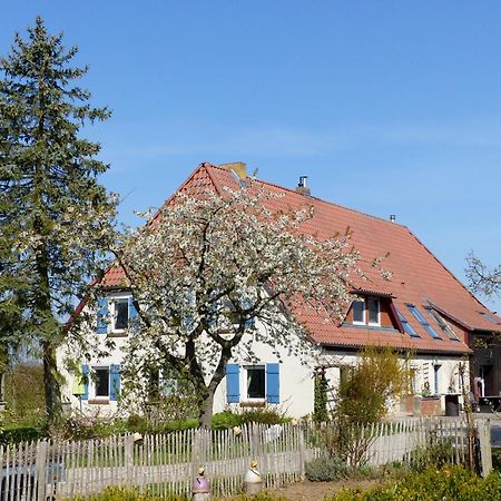 Hof Sorgenlos Gross Gievitz Exteriér fotografie