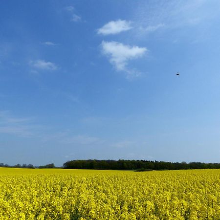 Hof Sorgenlos Gross Gievitz Exteriér fotografie