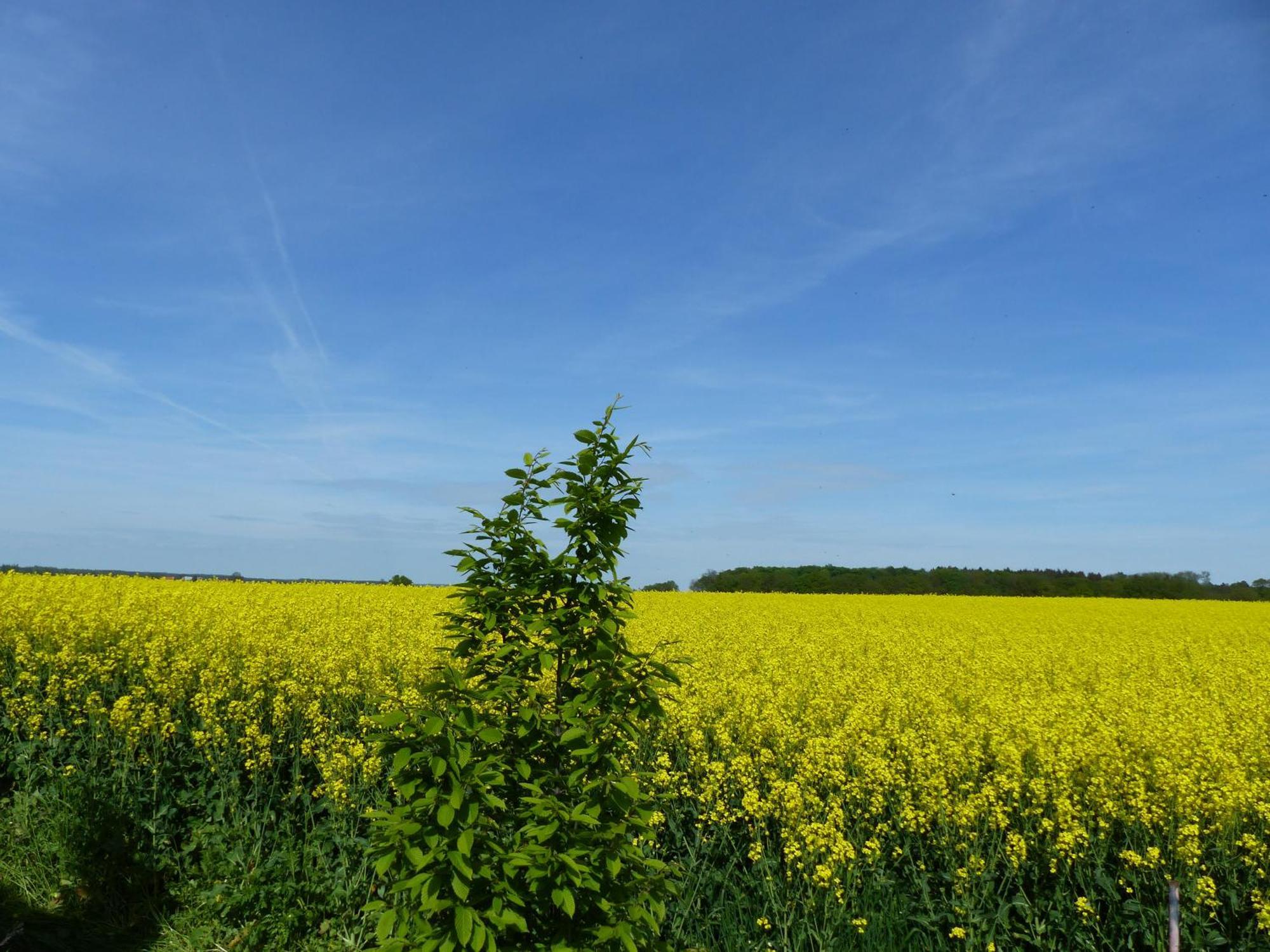 Hof Sorgenlos Gross Gievitz Exteriér fotografie