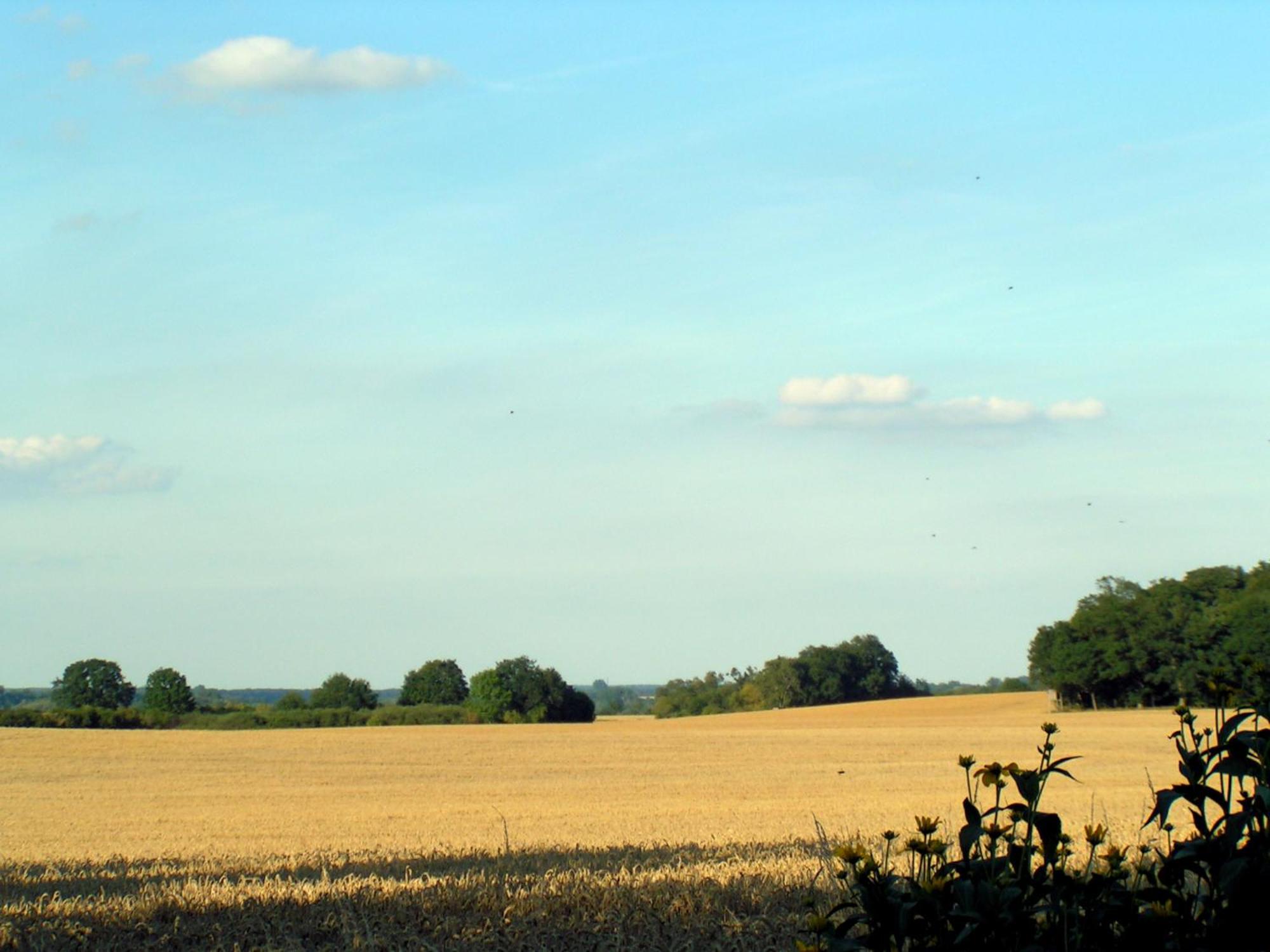 Hof Sorgenlos Gross Gievitz Pokoj fotografie