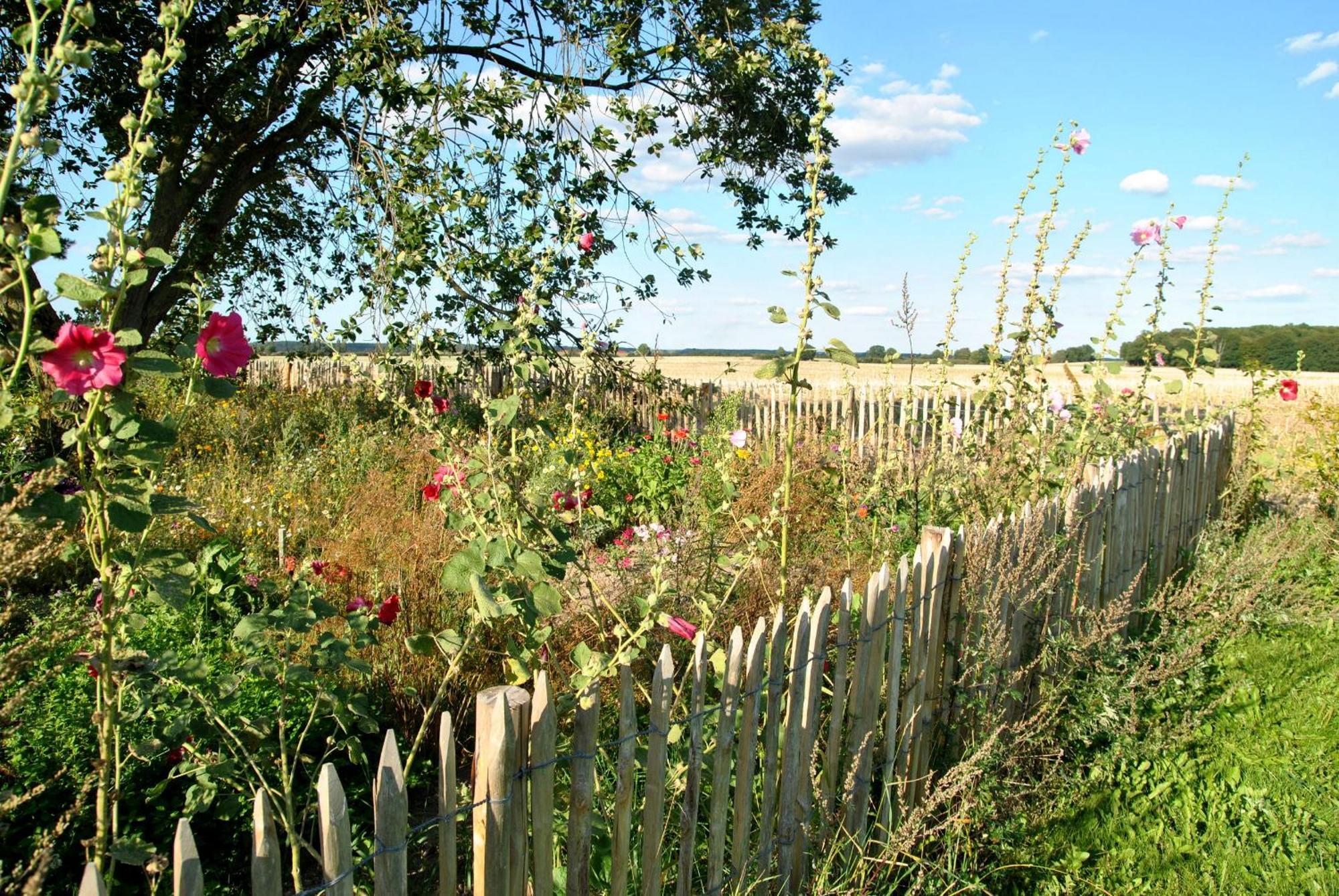 Hof Sorgenlos Gross Gievitz Exteriér fotografie