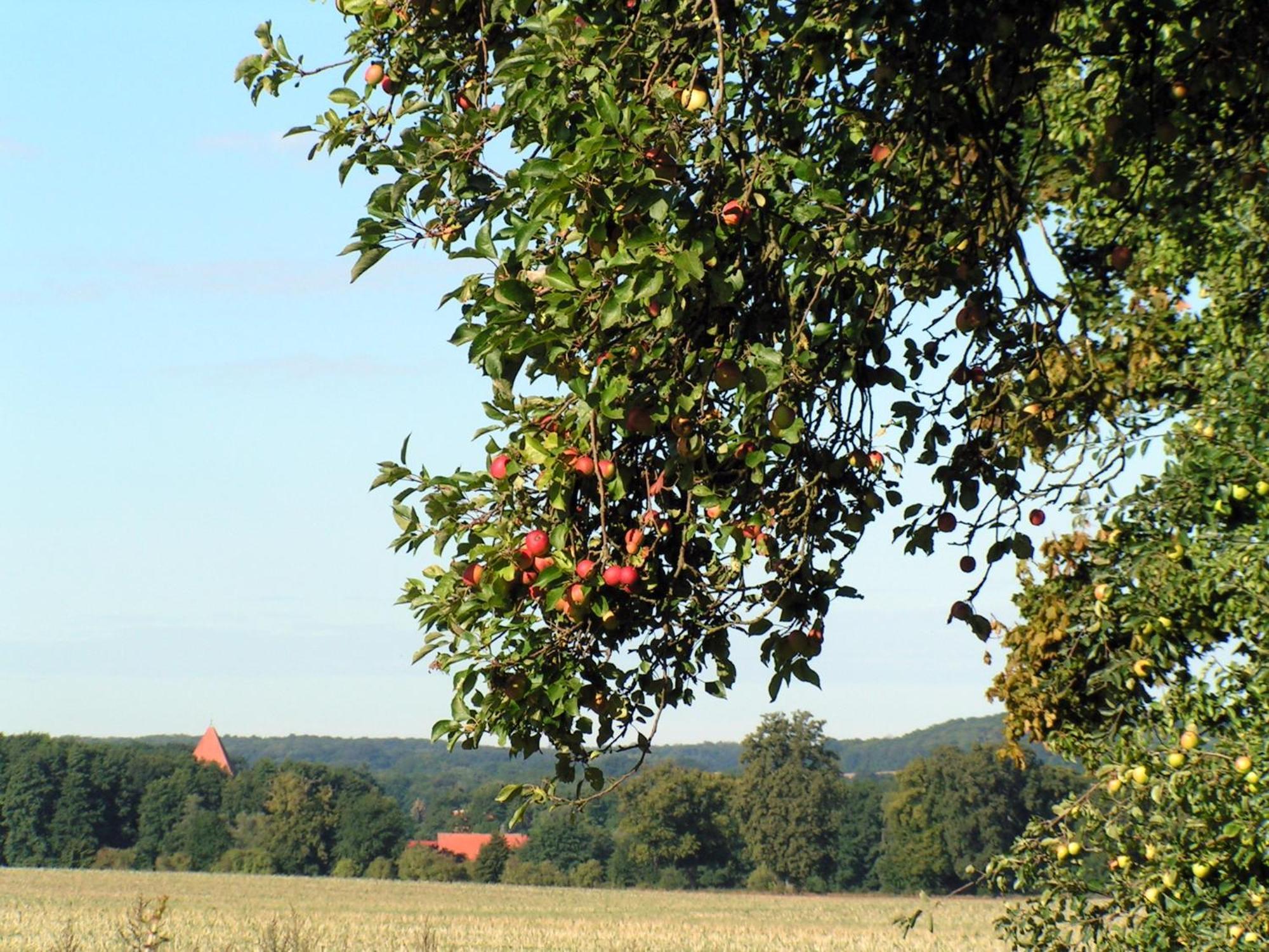 Hof Sorgenlos Gross Gievitz Exteriér fotografie