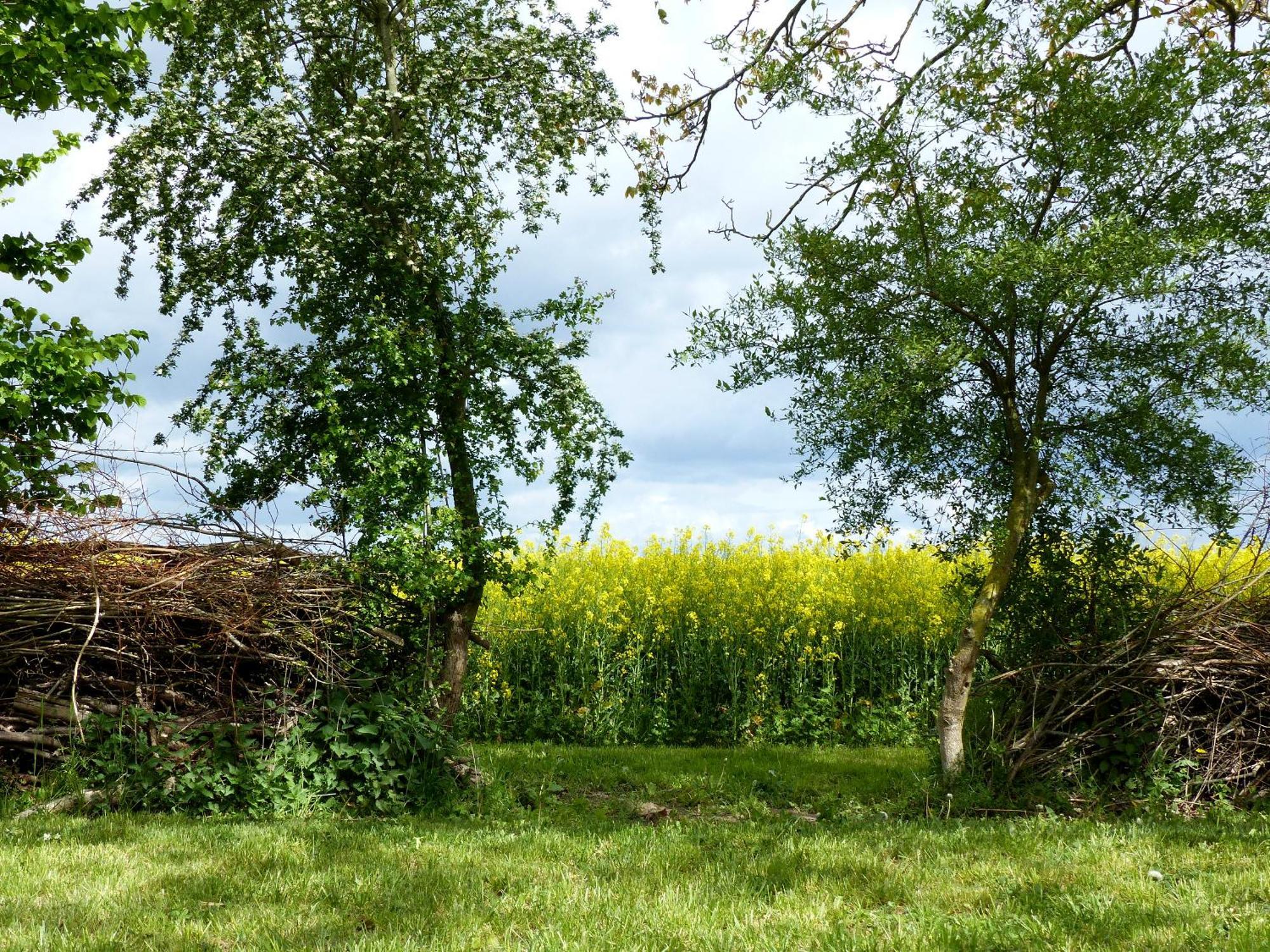 Hof Sorgenlos Gross Gievitz Pokoj fotografie